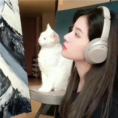 情证